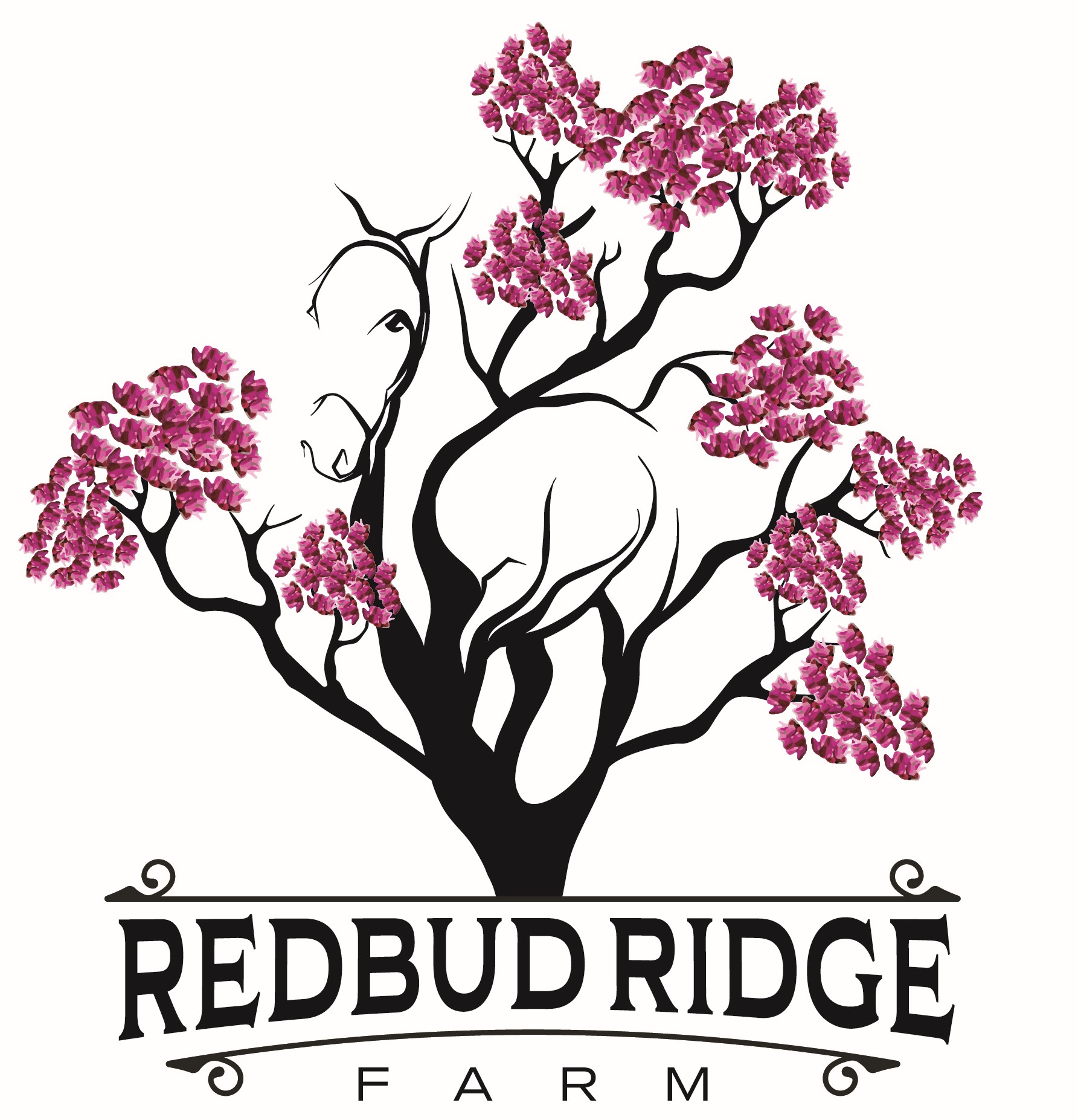 Redbud Ridge Farm