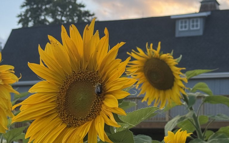 barn wedding in Kenosha, countryside wedding venue, rustic event space