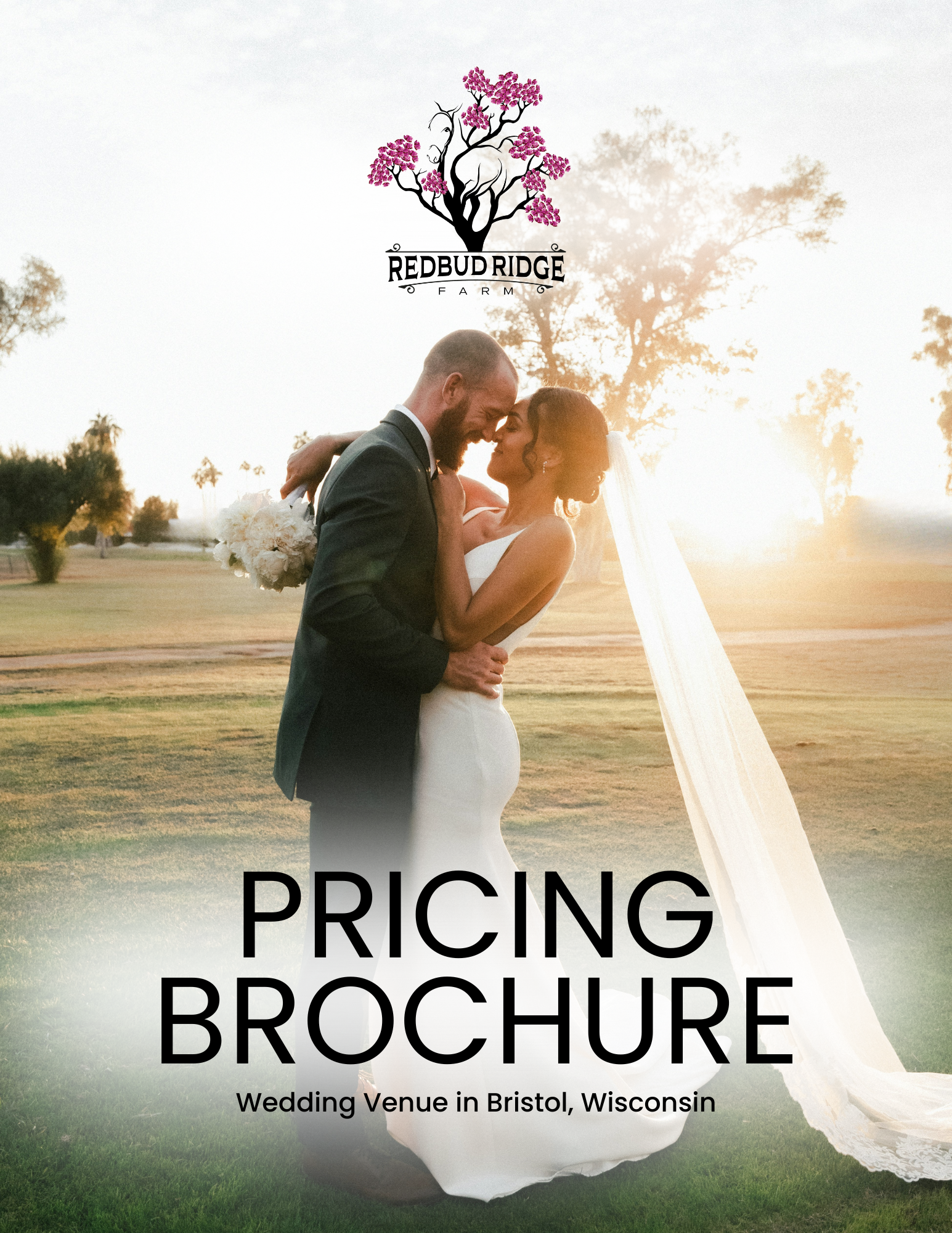 breathtaking wedding venue in Kenosha, barn event venue in Kenosha, countryside venue in Kenosha